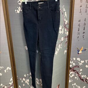 Lane Bryant Dark Wash Denim Jeans